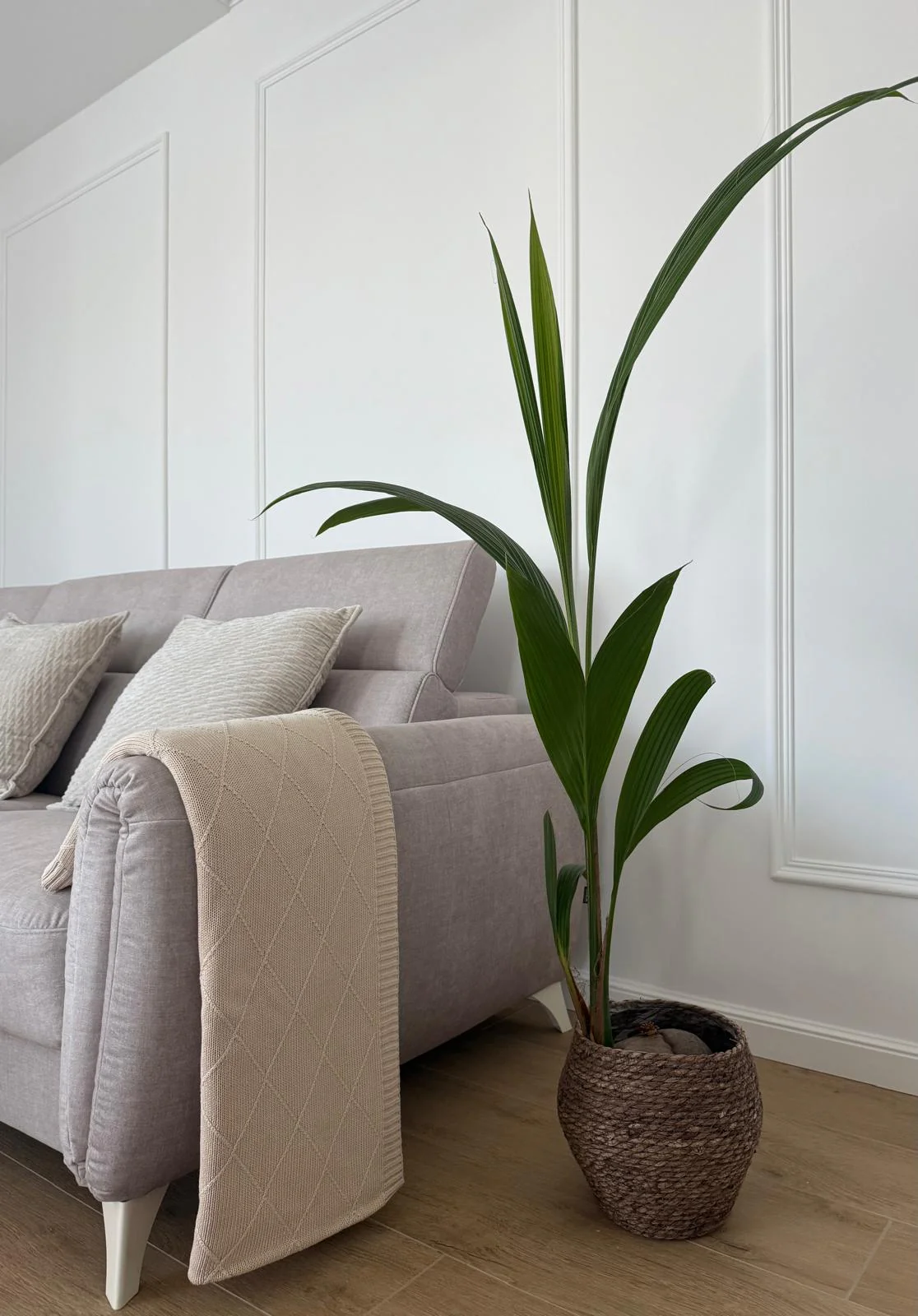 Koc bawełniany dla dorosłych Diamond Elegance HOME - Image 3